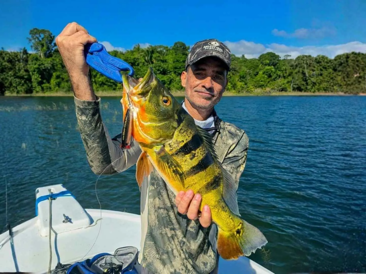 Captain Gabriel Gavilan holding a peacock bass on Lake Gatun