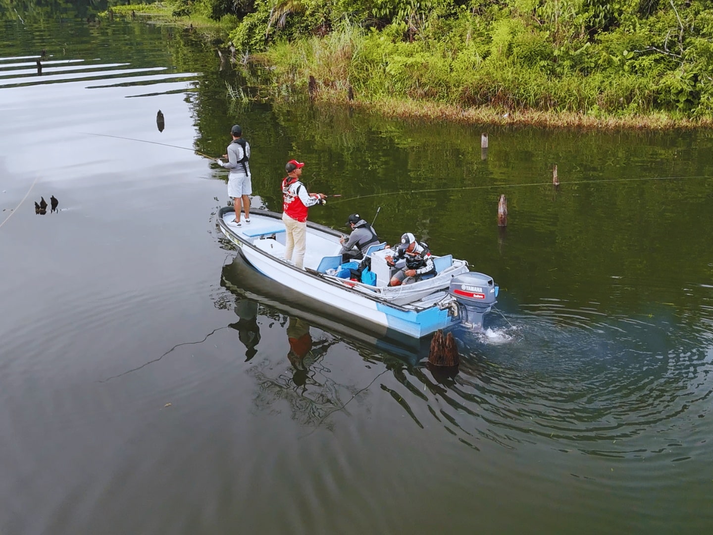 Aerial view of the boat fishing among drowned tree stumps standing in Lake Gatun